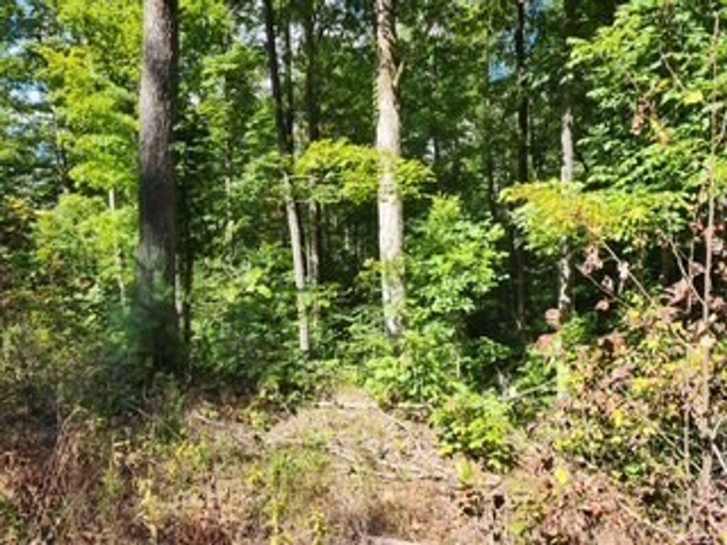 0 Tomahawk Rd, Jamestown