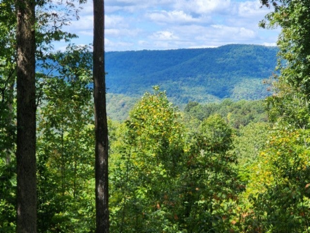 Photo of Listing #2982286