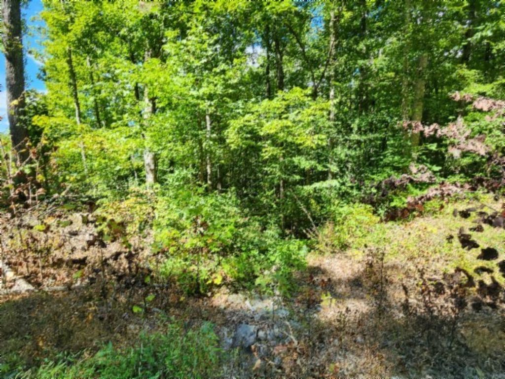 0 Tomahawk Rd, Jamestown