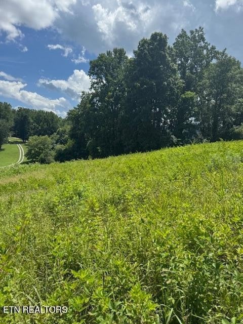 Photo of Listing #2982480