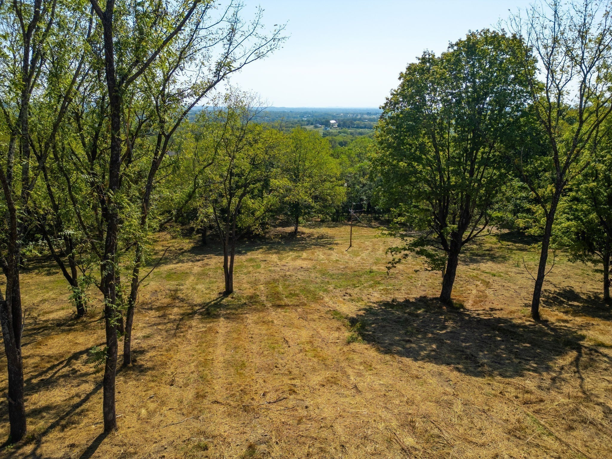 Photo of Listing #2985610