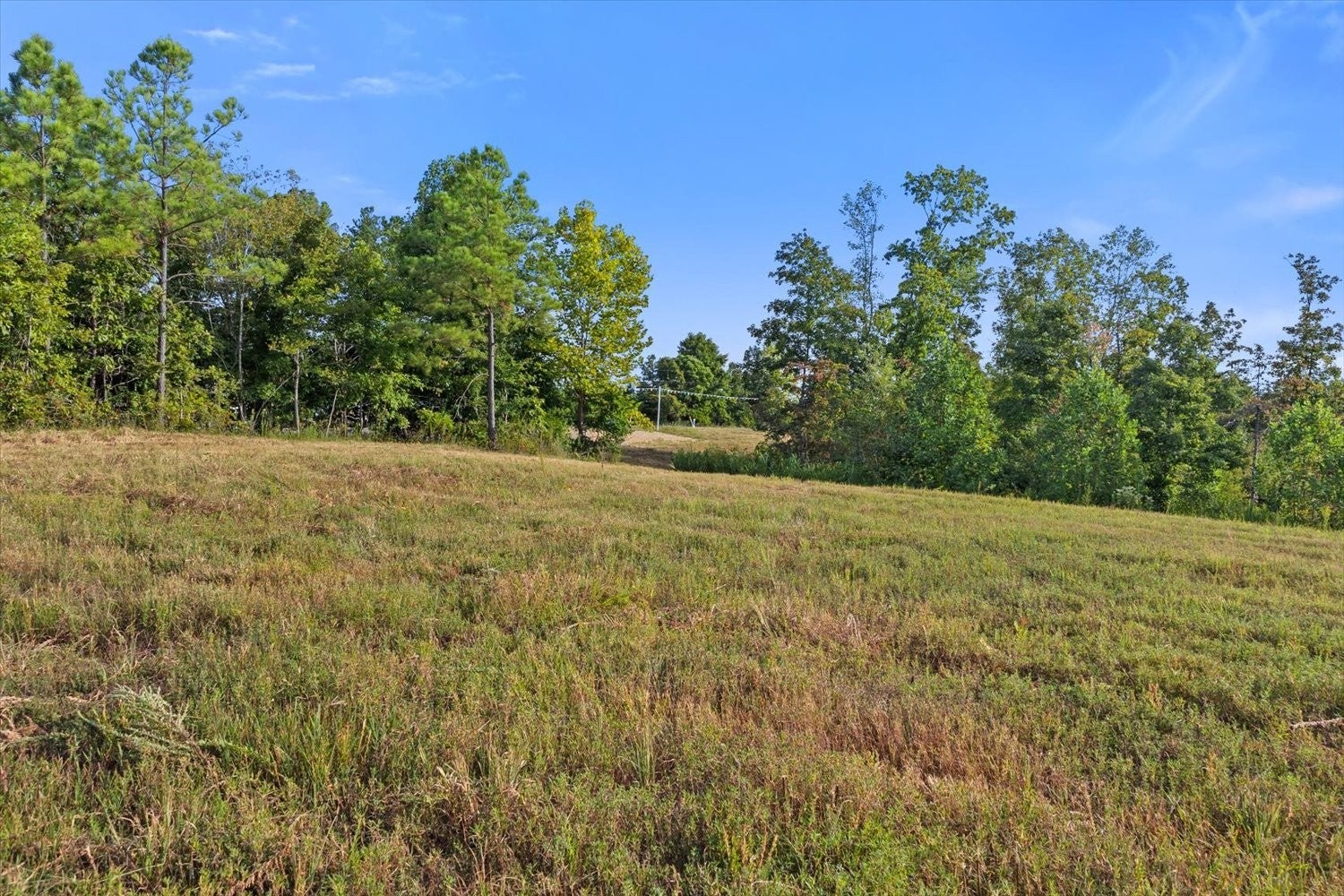Photo of Listing #2986015
