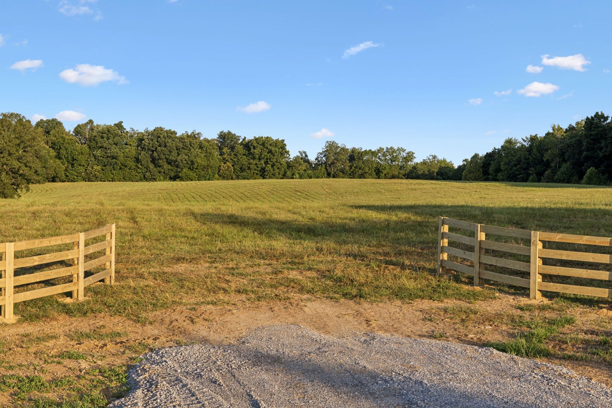 Photo of Listing #2986046