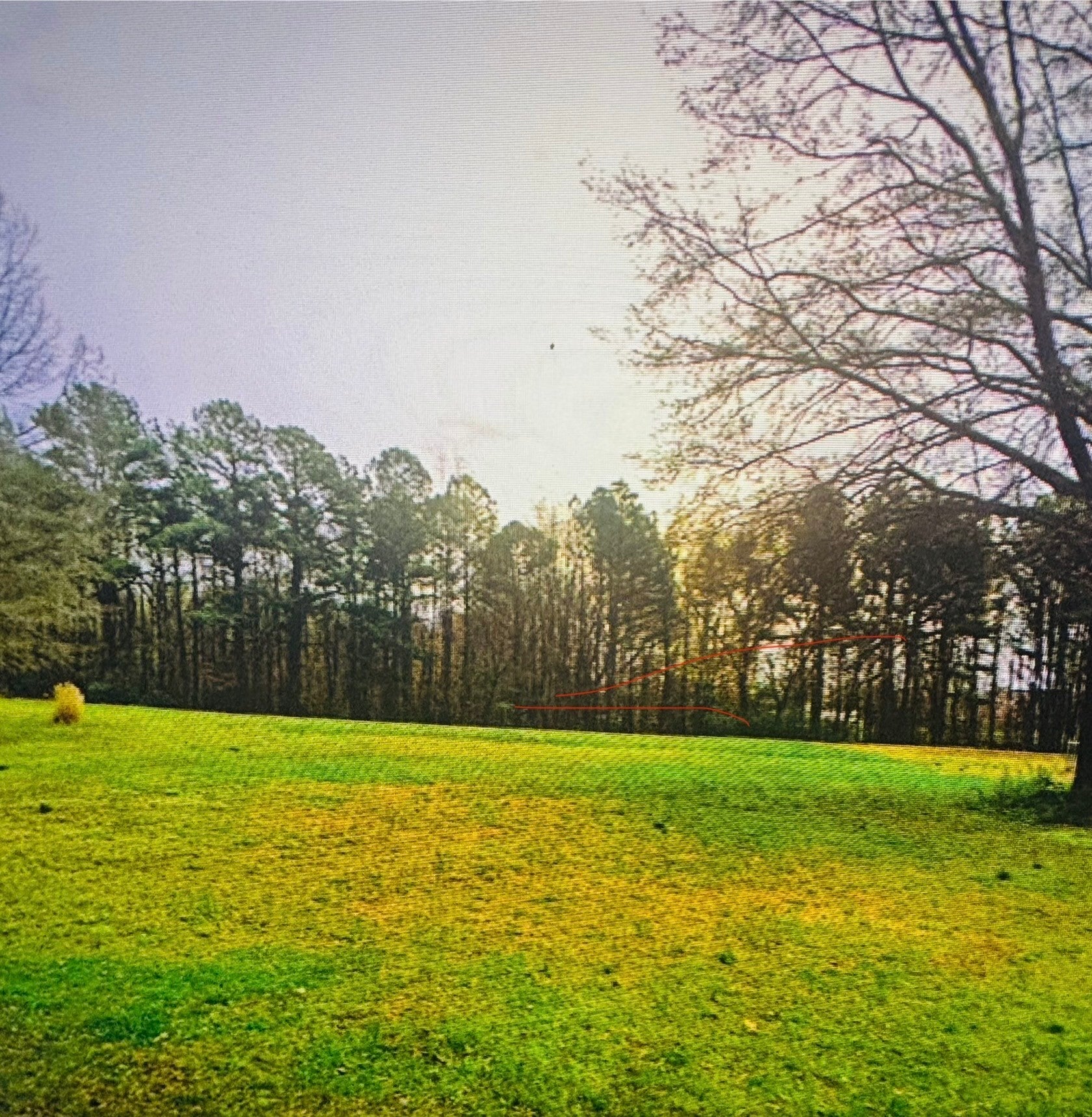 Photo of Listing #2986279