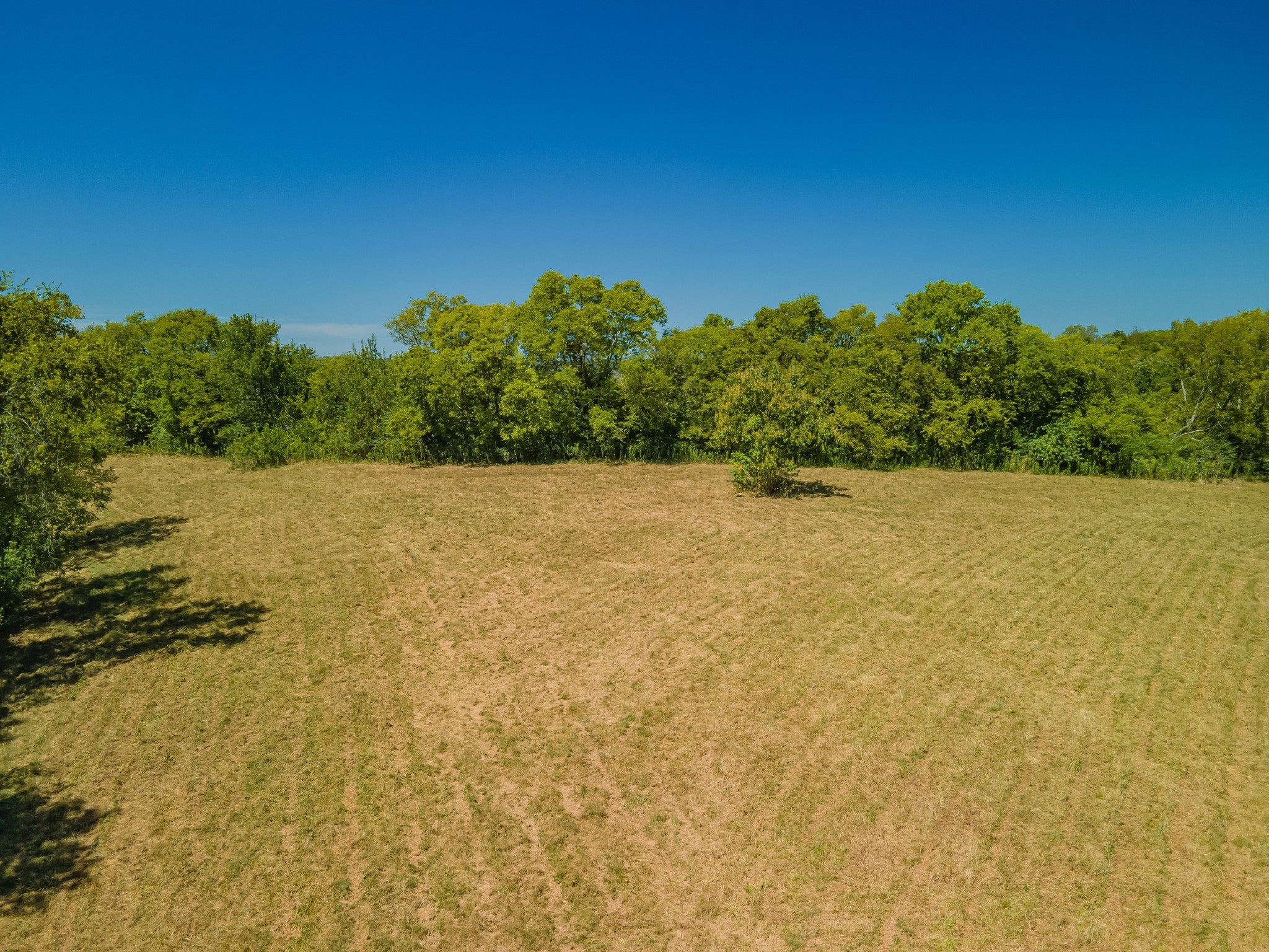 Photo of Listing #2986670