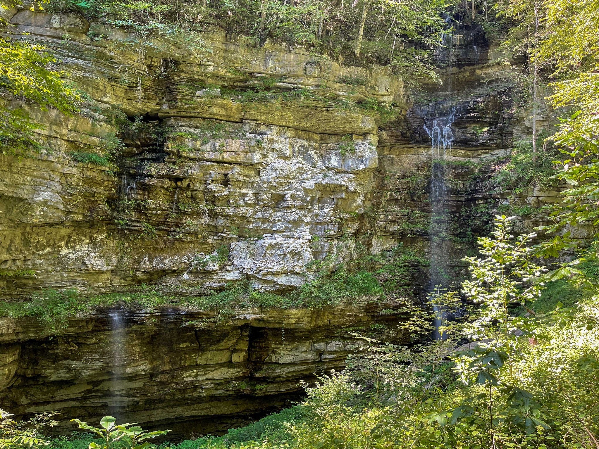 Photo of Listing #2986799