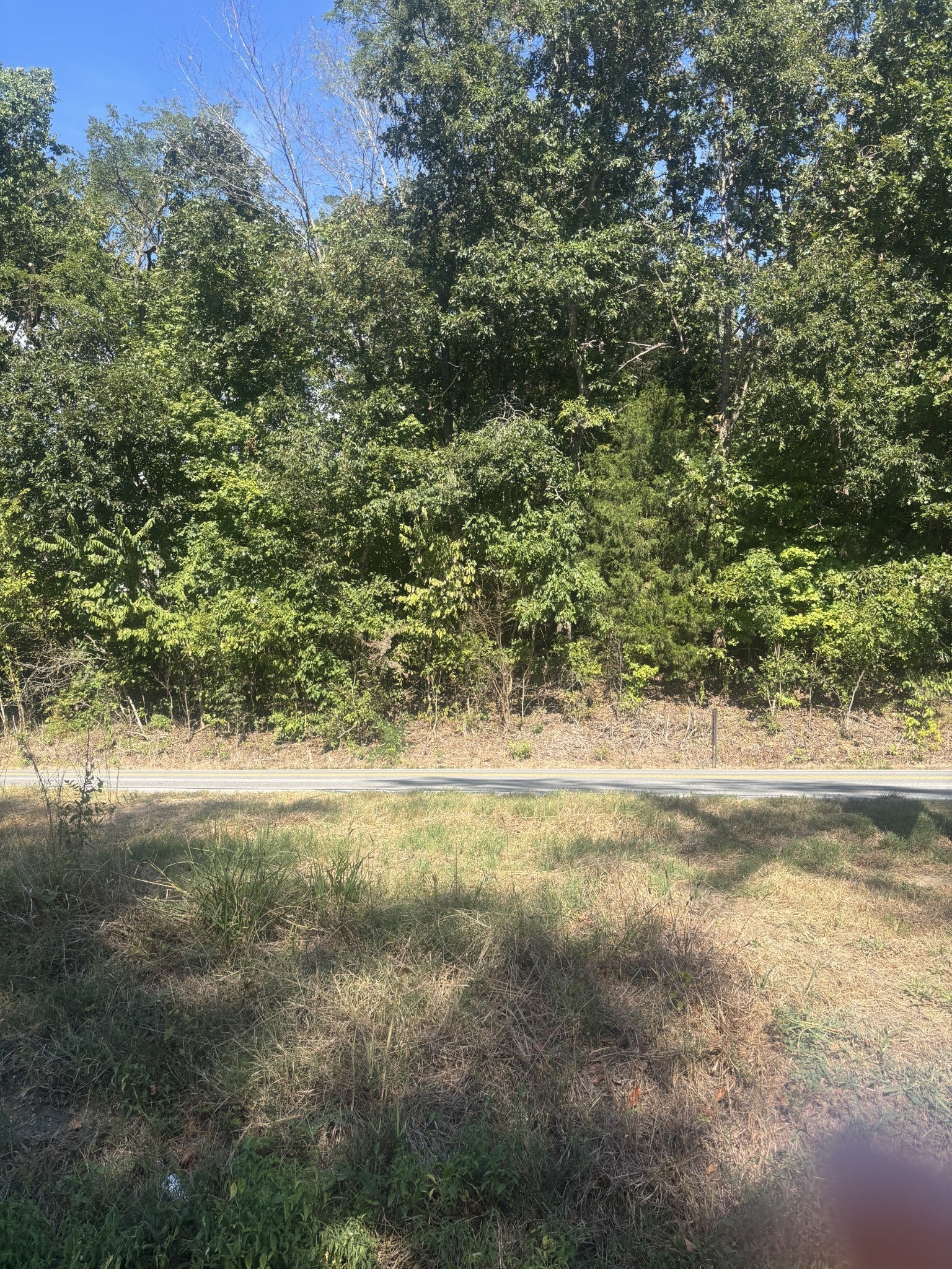 Photo of Listing #2987557