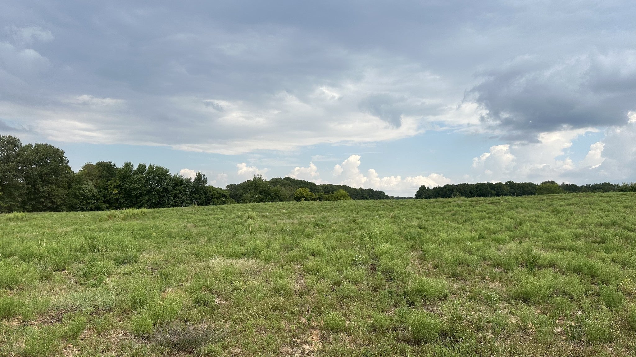 Photo of Listing #2987682