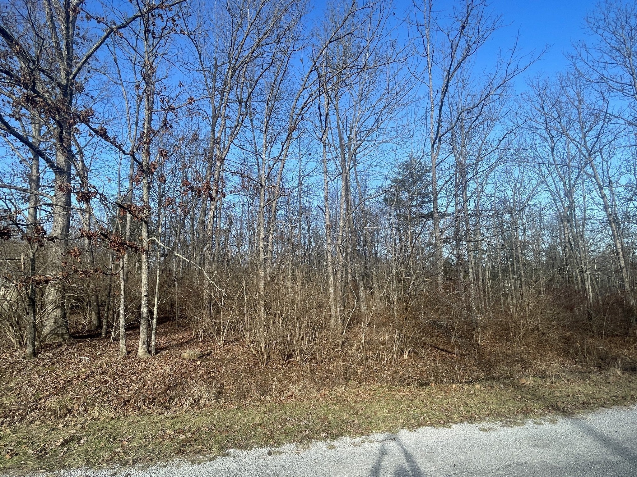 Photo of Listing #2987987