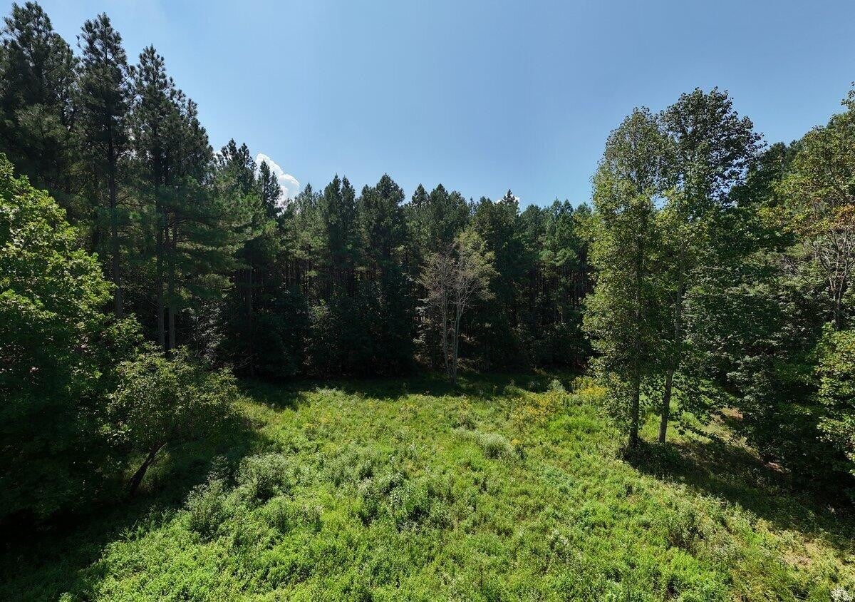 Photo of Listing #2988062