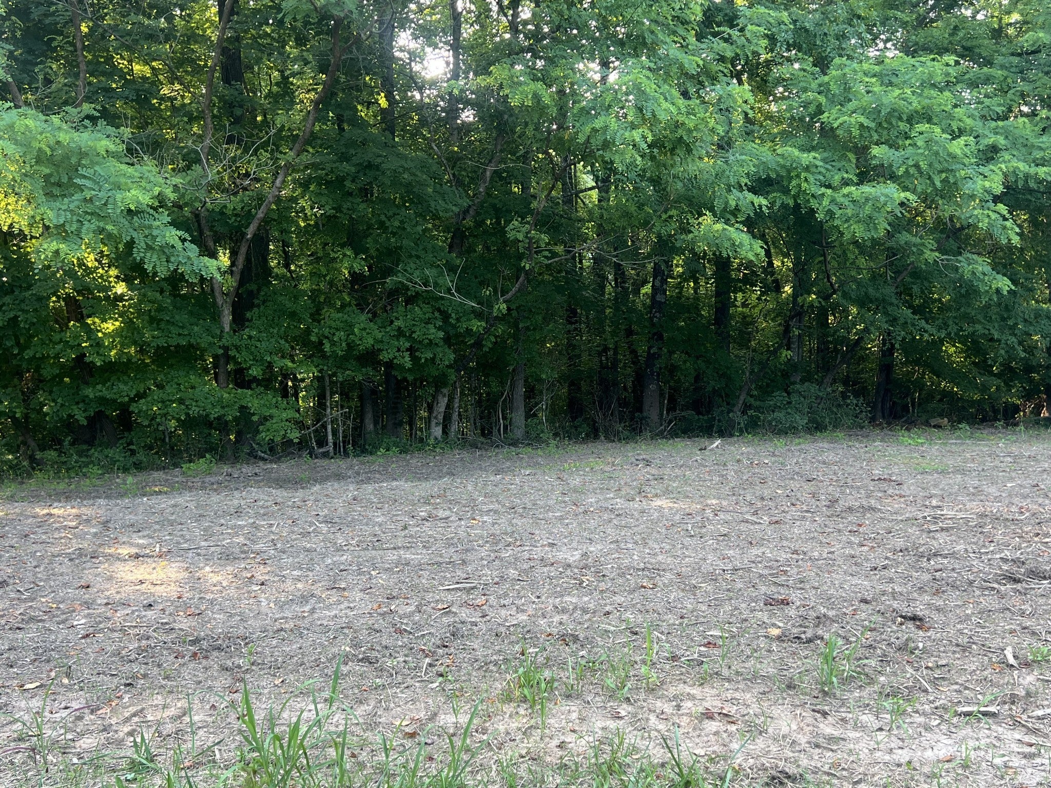Photo of Listing #2988313
