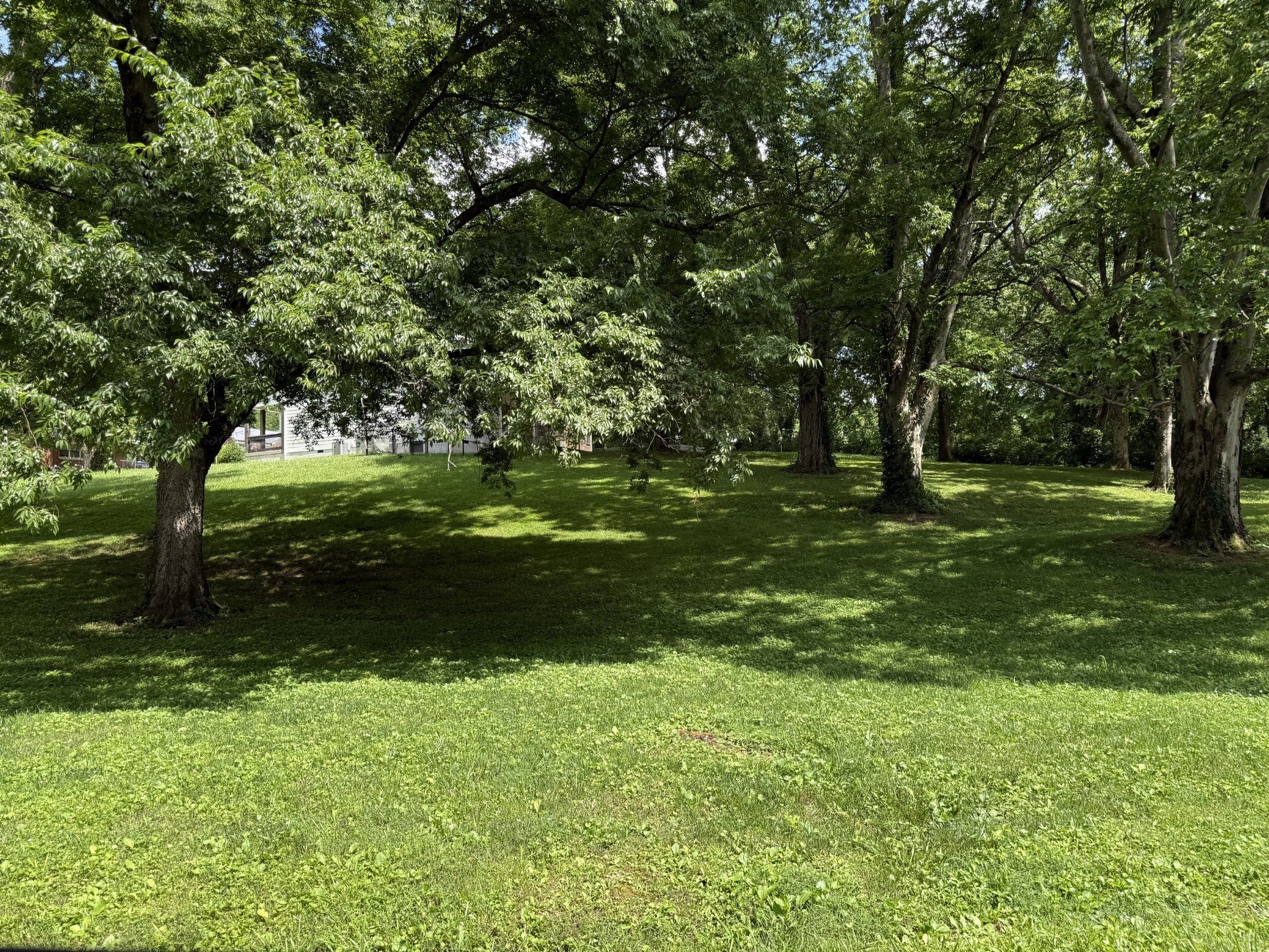 Photo of Listing #2988579
