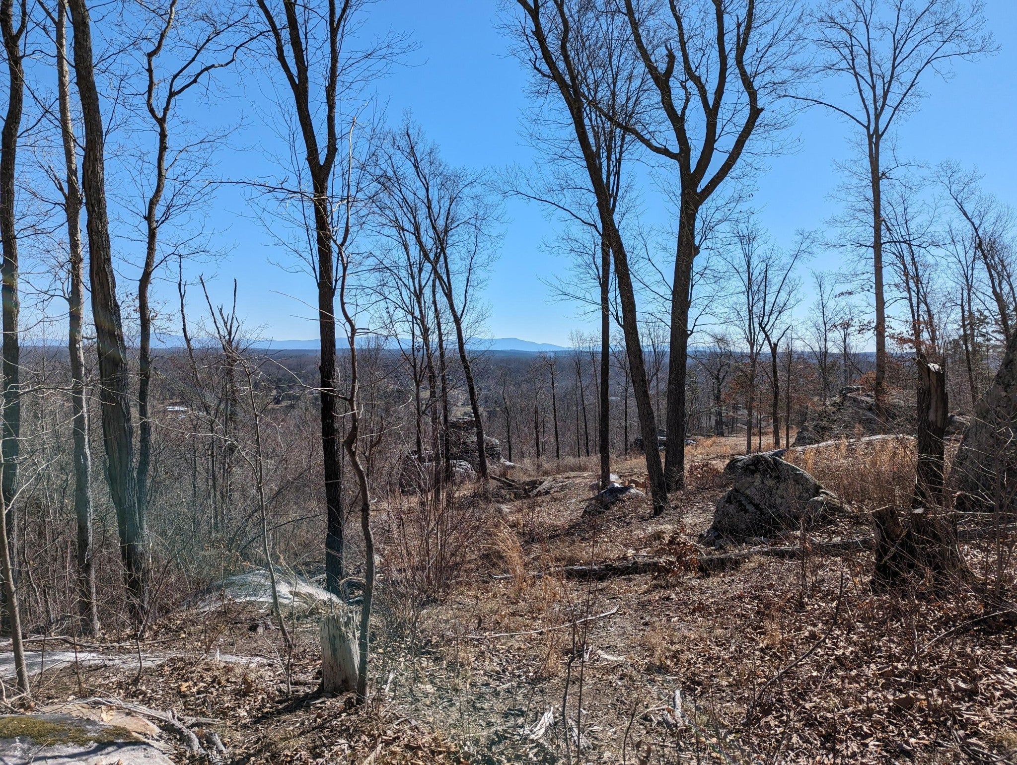 Photo of Listing #2988748