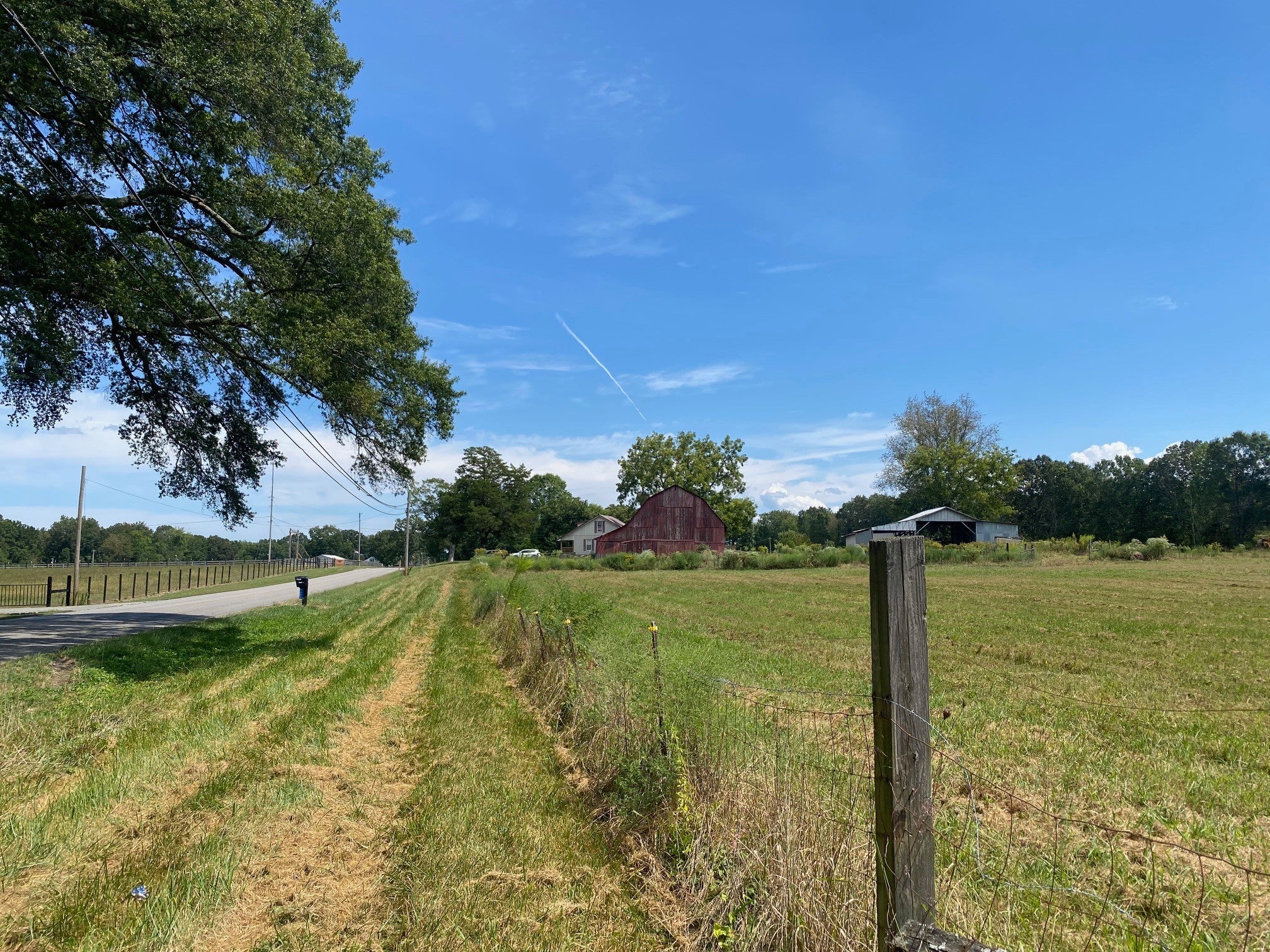 Photo of Listing #2989129