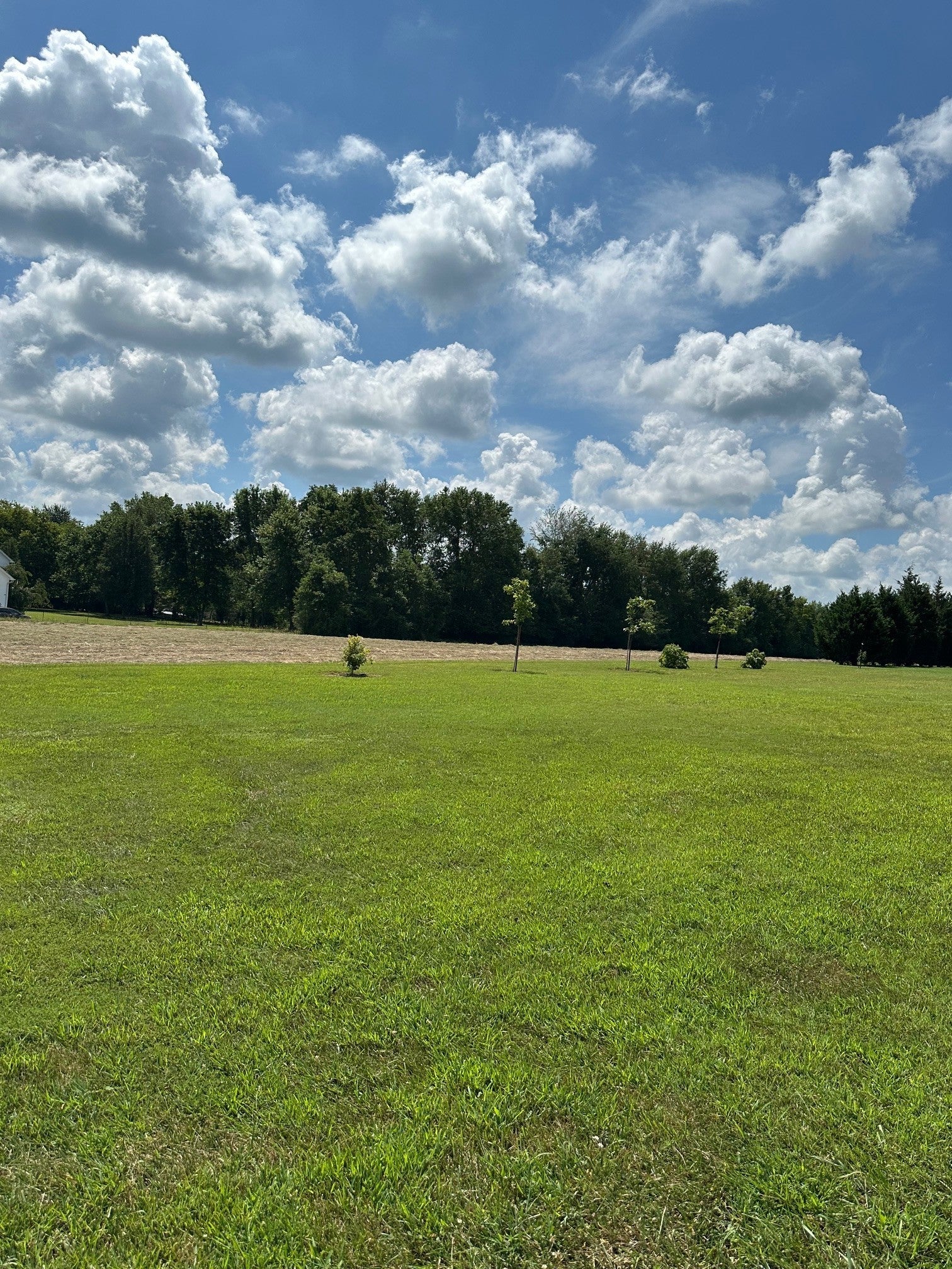 Photo of Listing #2989141