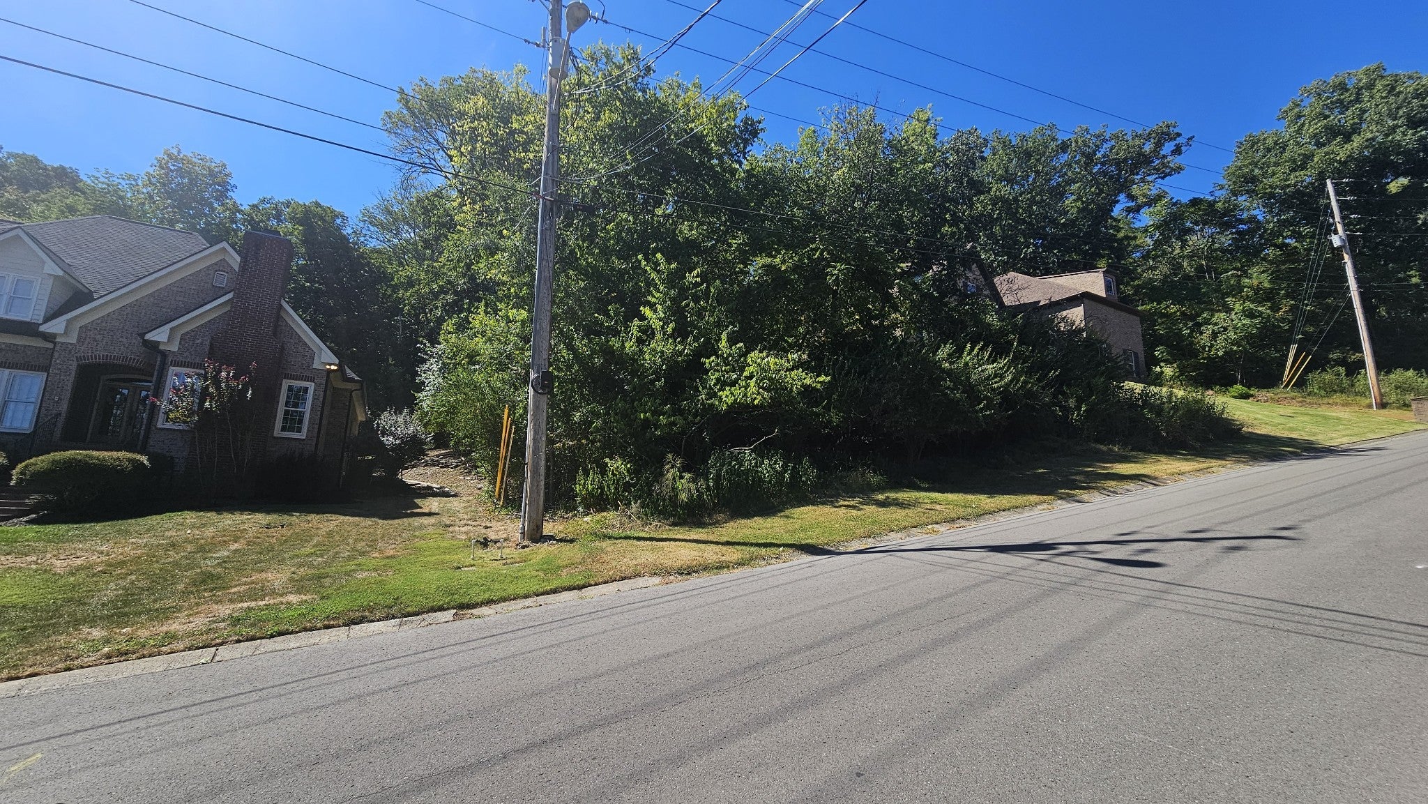 Photo of Listing #2989683