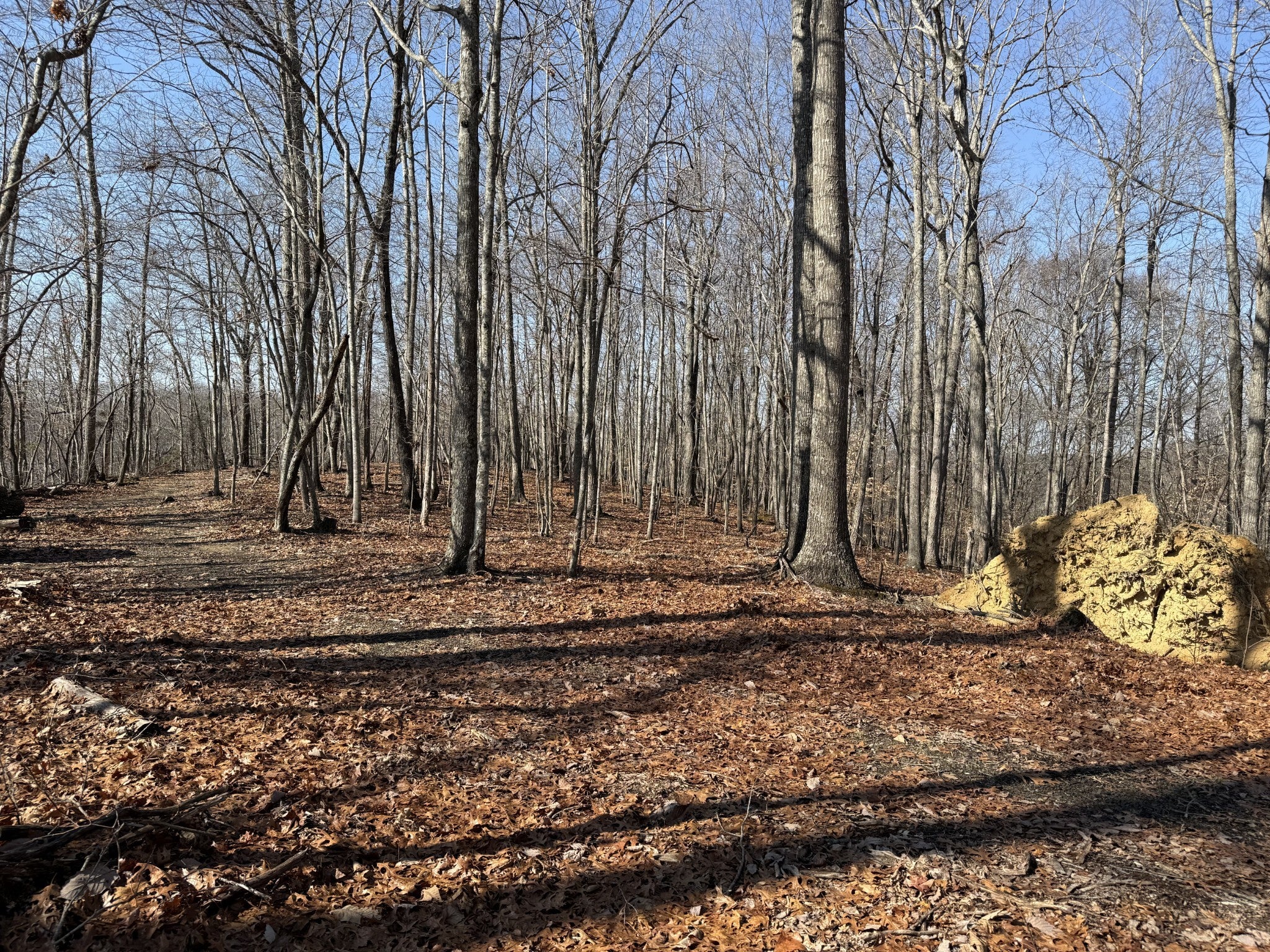 Photo of Listing #2989867