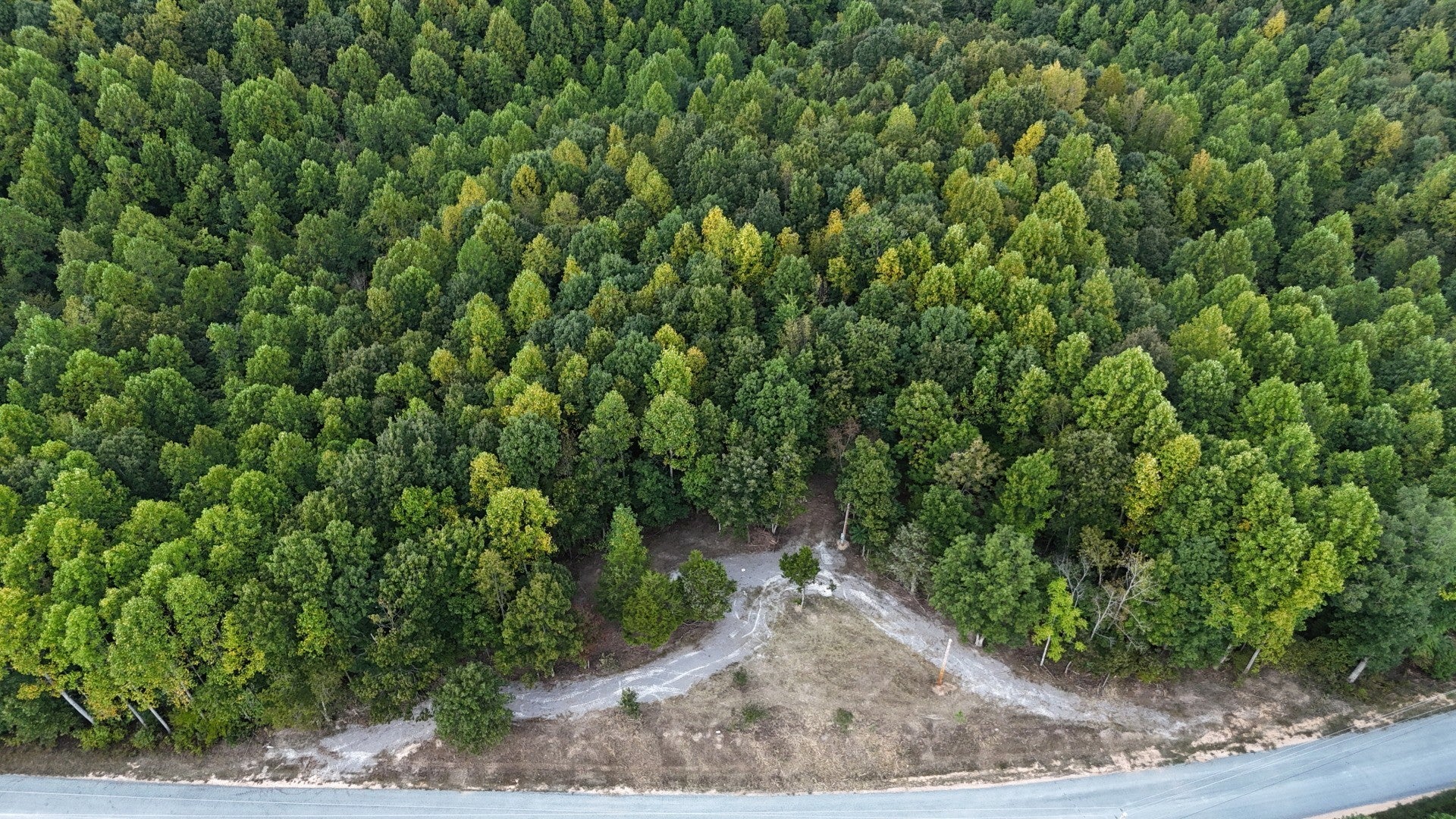 Photo of Listing #2990747