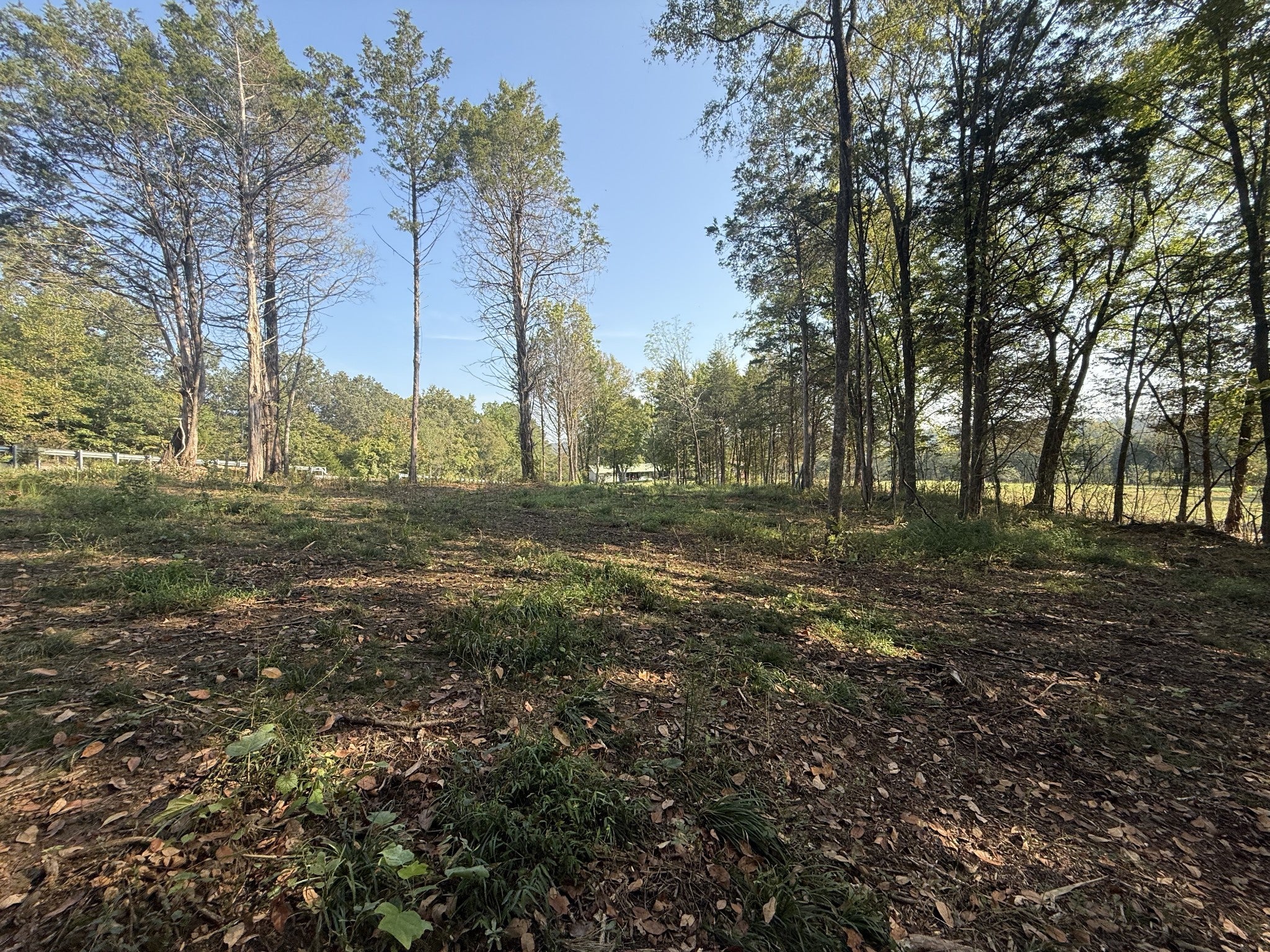 Photo of Listing #2991221