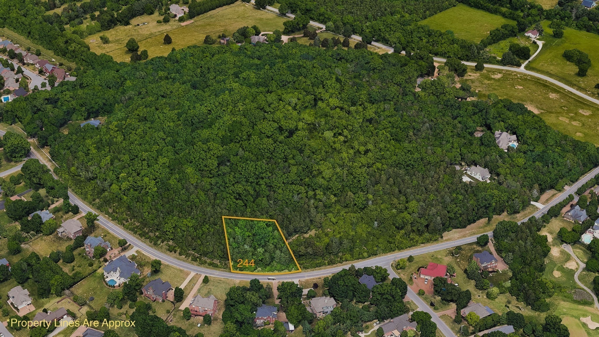 Photo of Listing #2991429