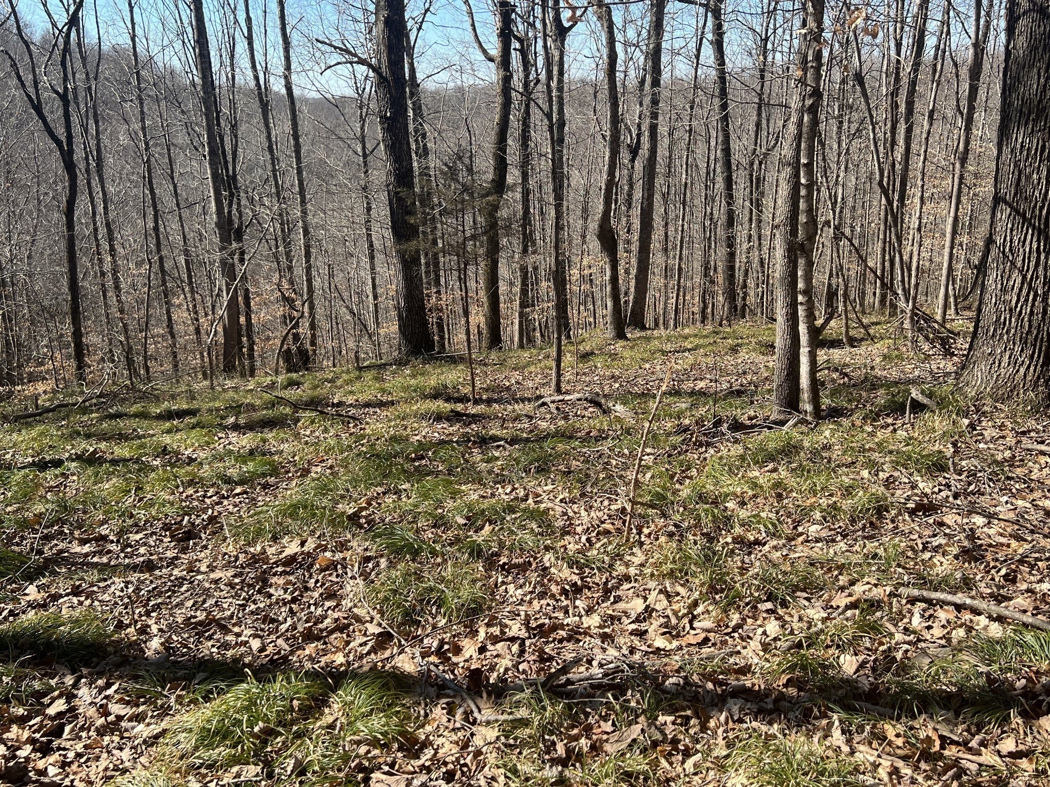 Photo of Listing #2991487