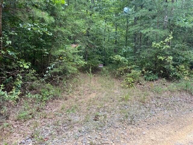 Photo of Listing #2991573