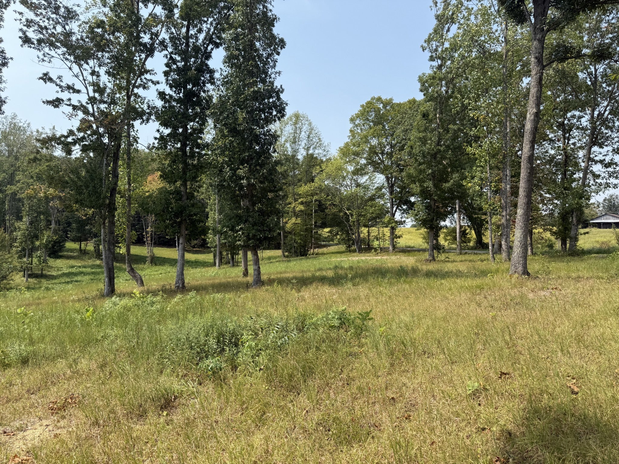 Photo of Listing #2991658