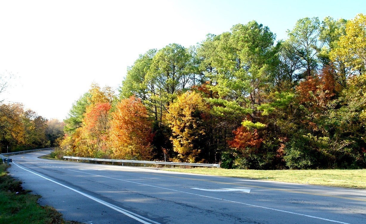 Photo of Listing #2991791