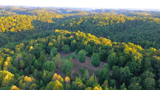 8218 Old Pond Creek Rd, Nashville