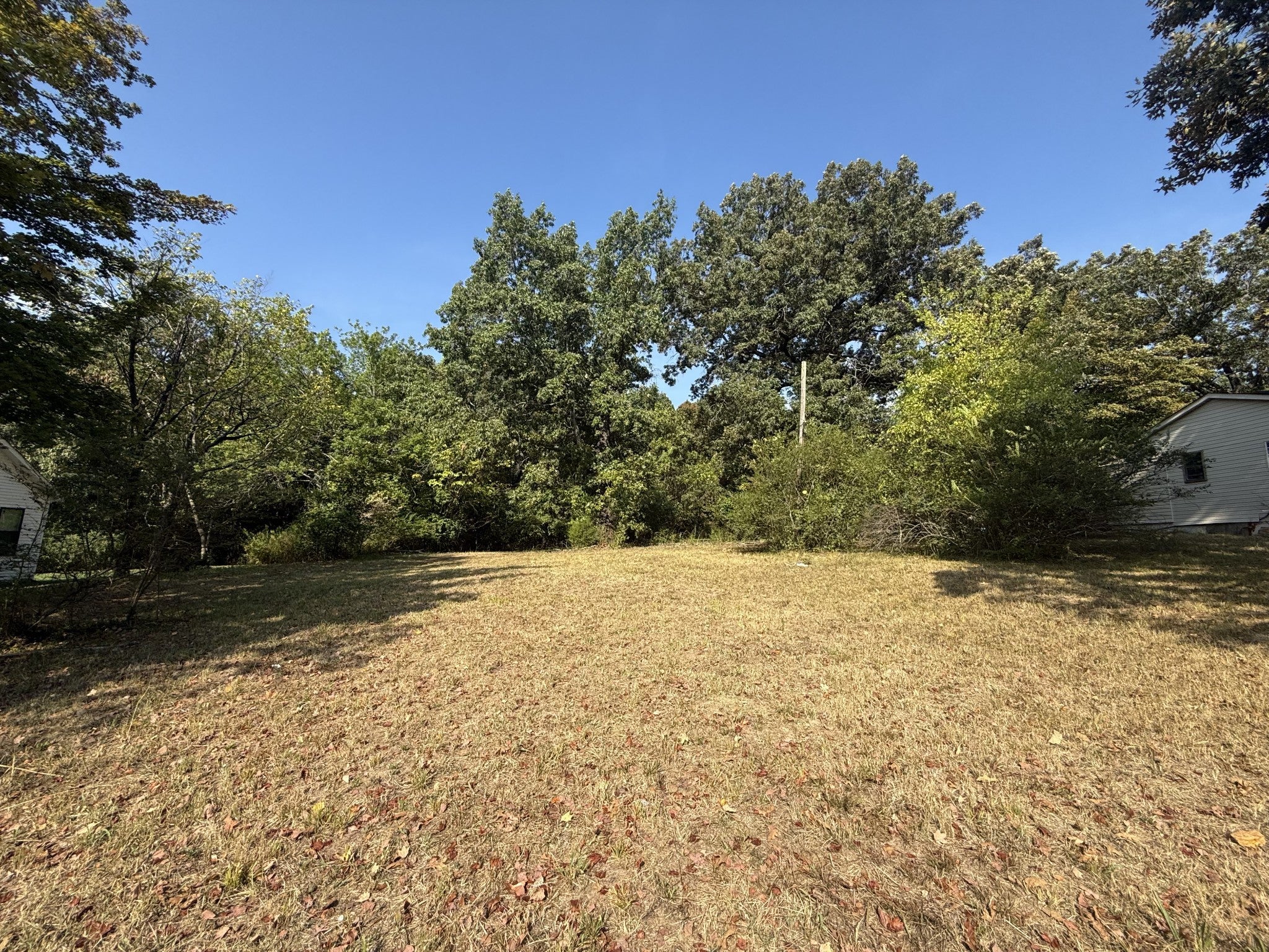 Photo of Listing #2991918
