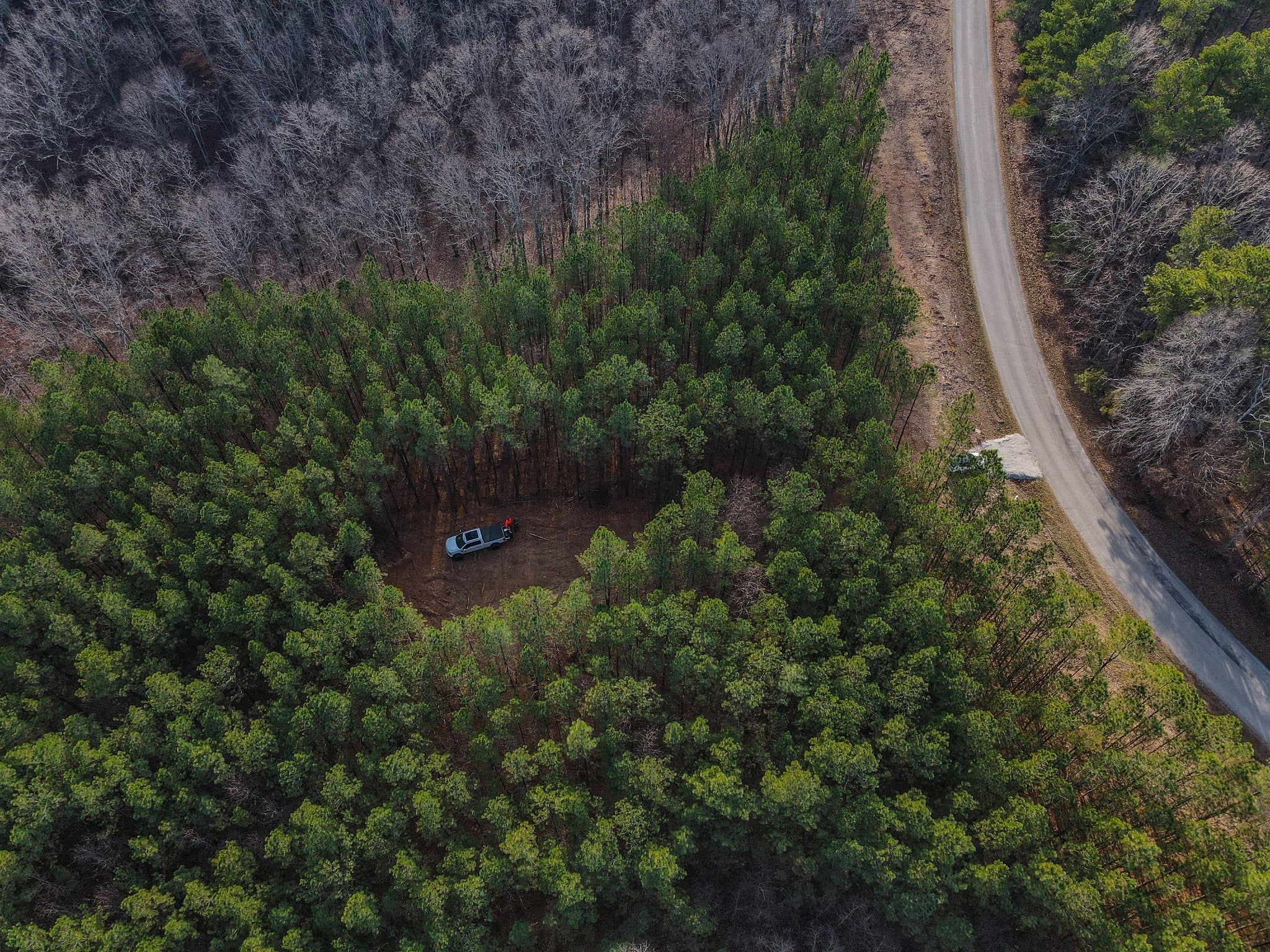 Photo of Listing #2992012