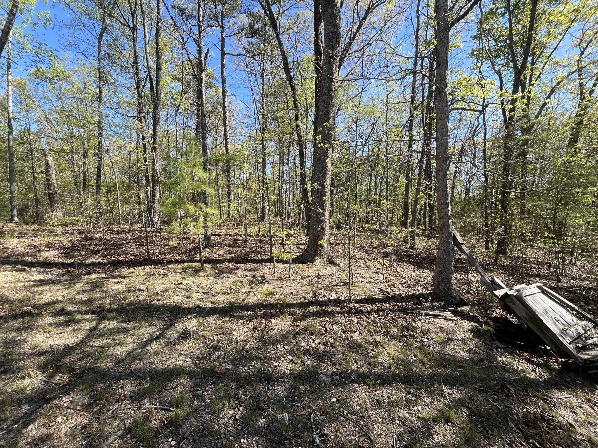 Photo of Listing #2992063