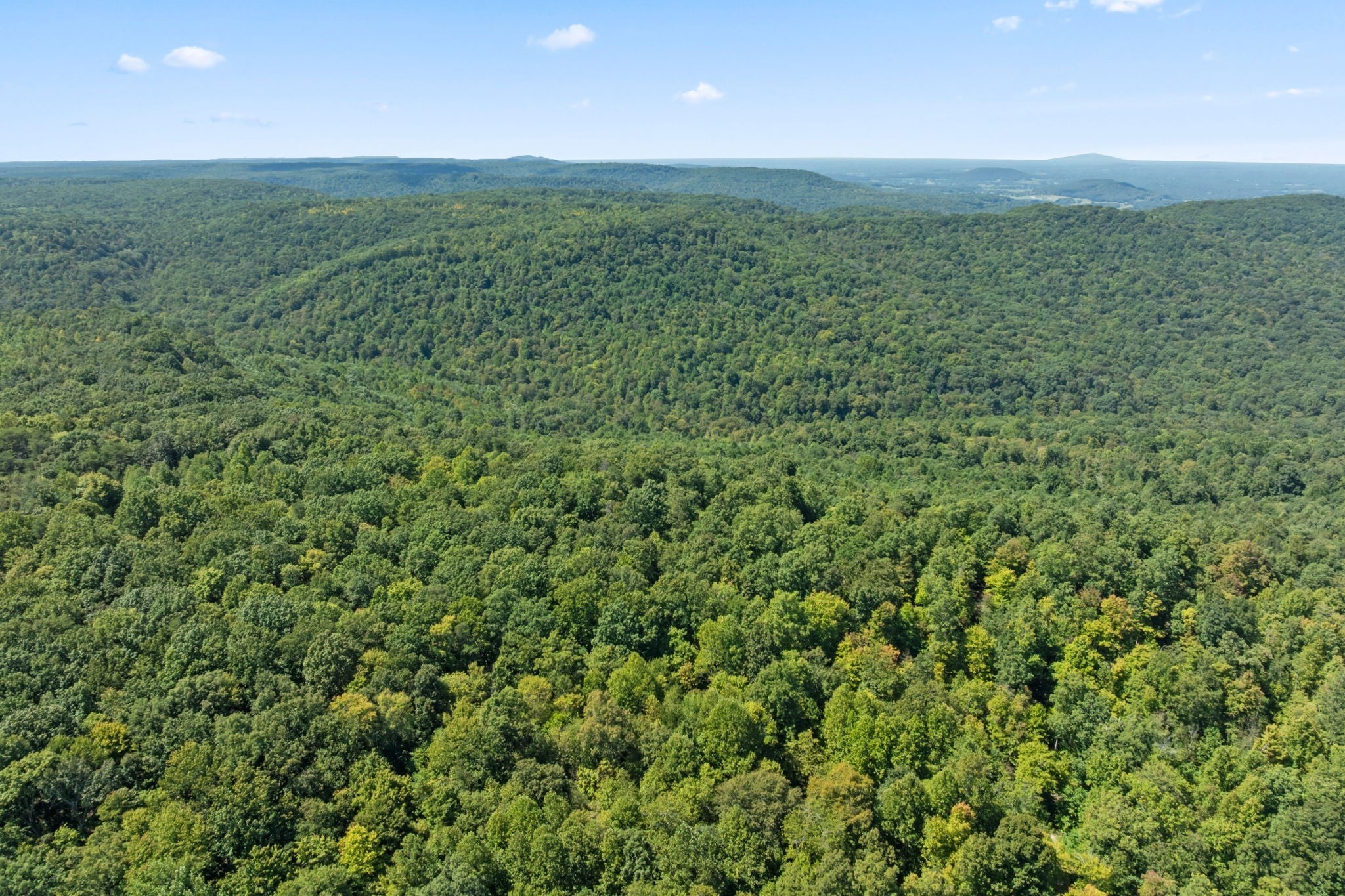 Photo of Listing #2992108