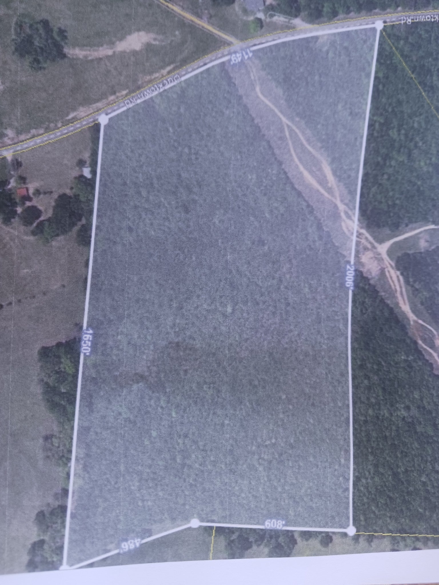 Photo of Listing #2992212