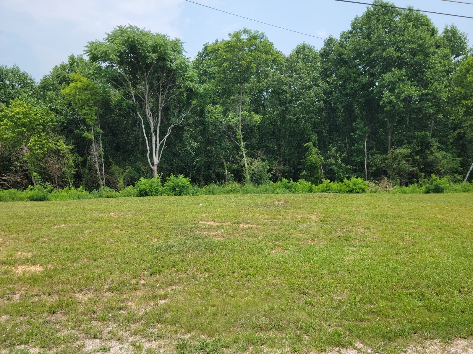 Photo of Listing #2992963