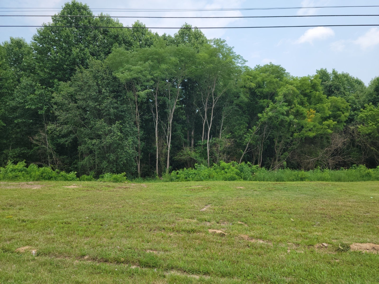 Photo of Listing #2992965