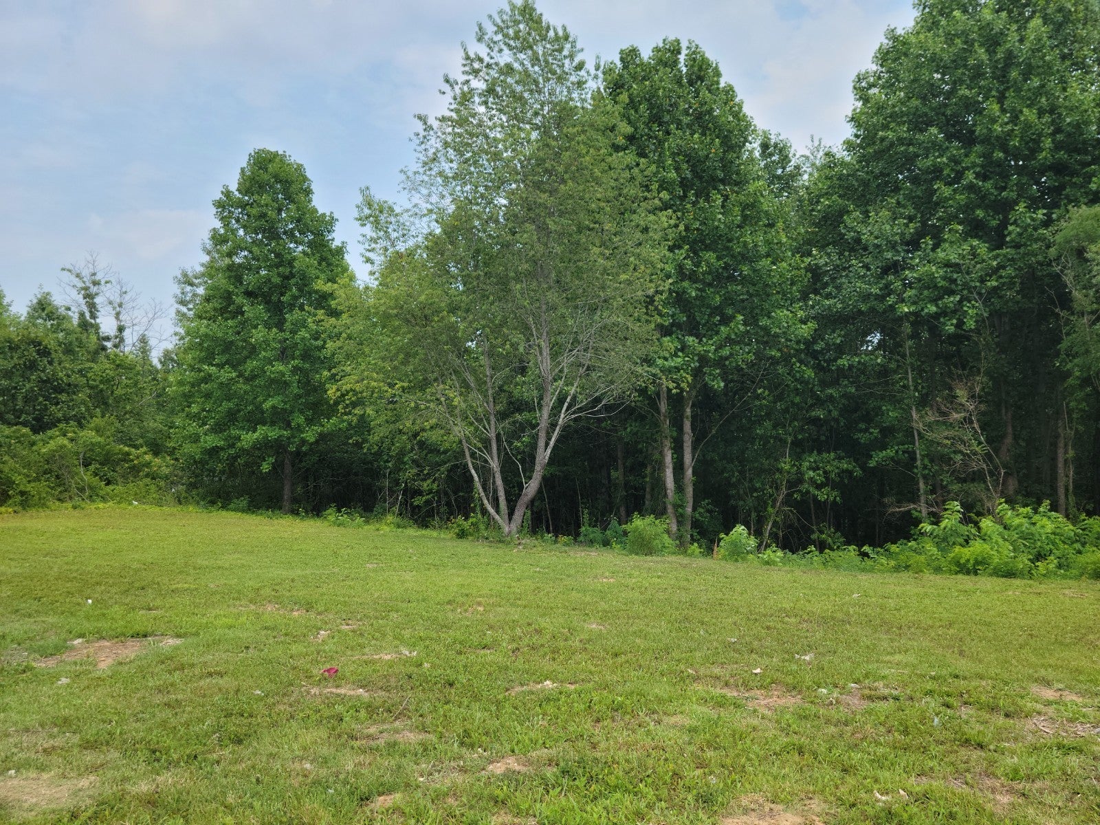 Photo of Listing #2992966