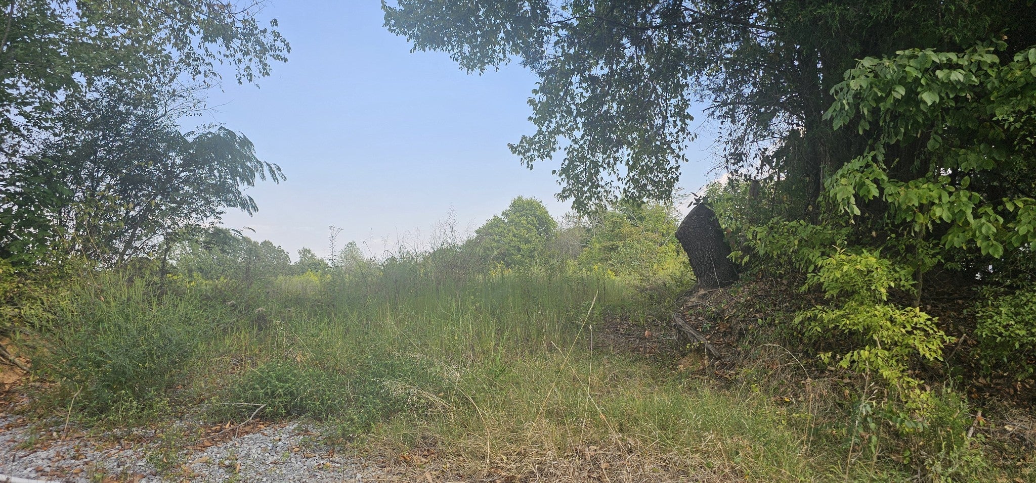 Photo of Listing #2993201