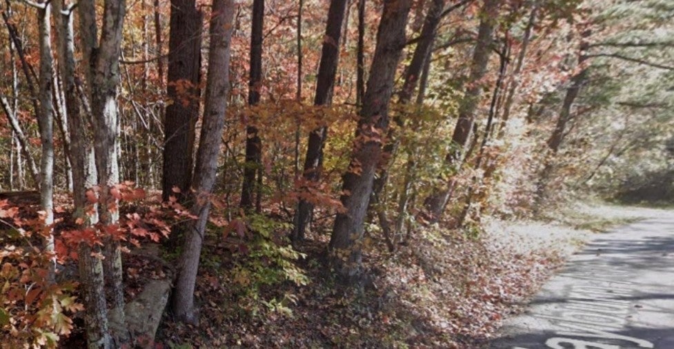 Photo of Listing #2993329