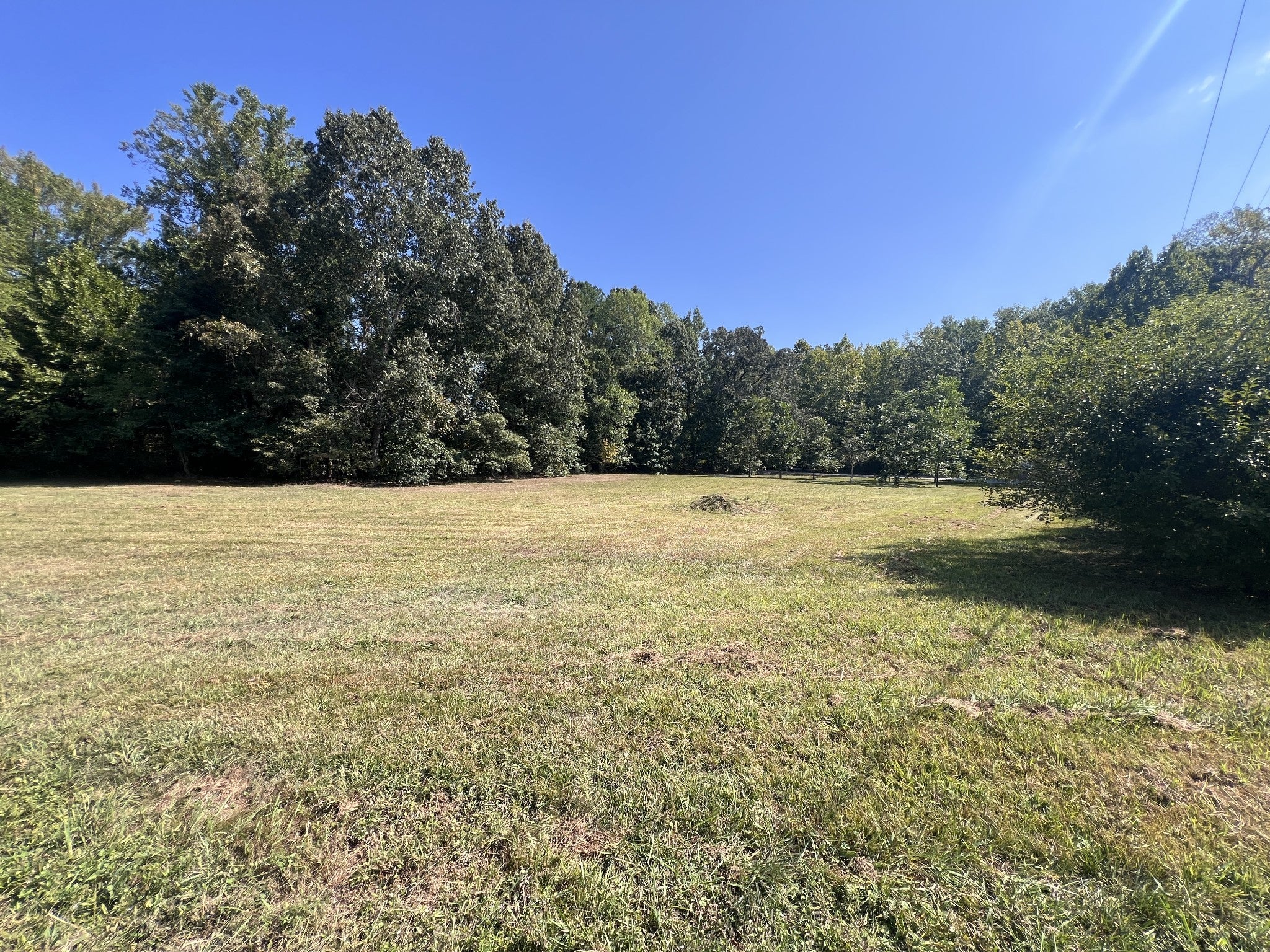 Photo of Listing #2993432