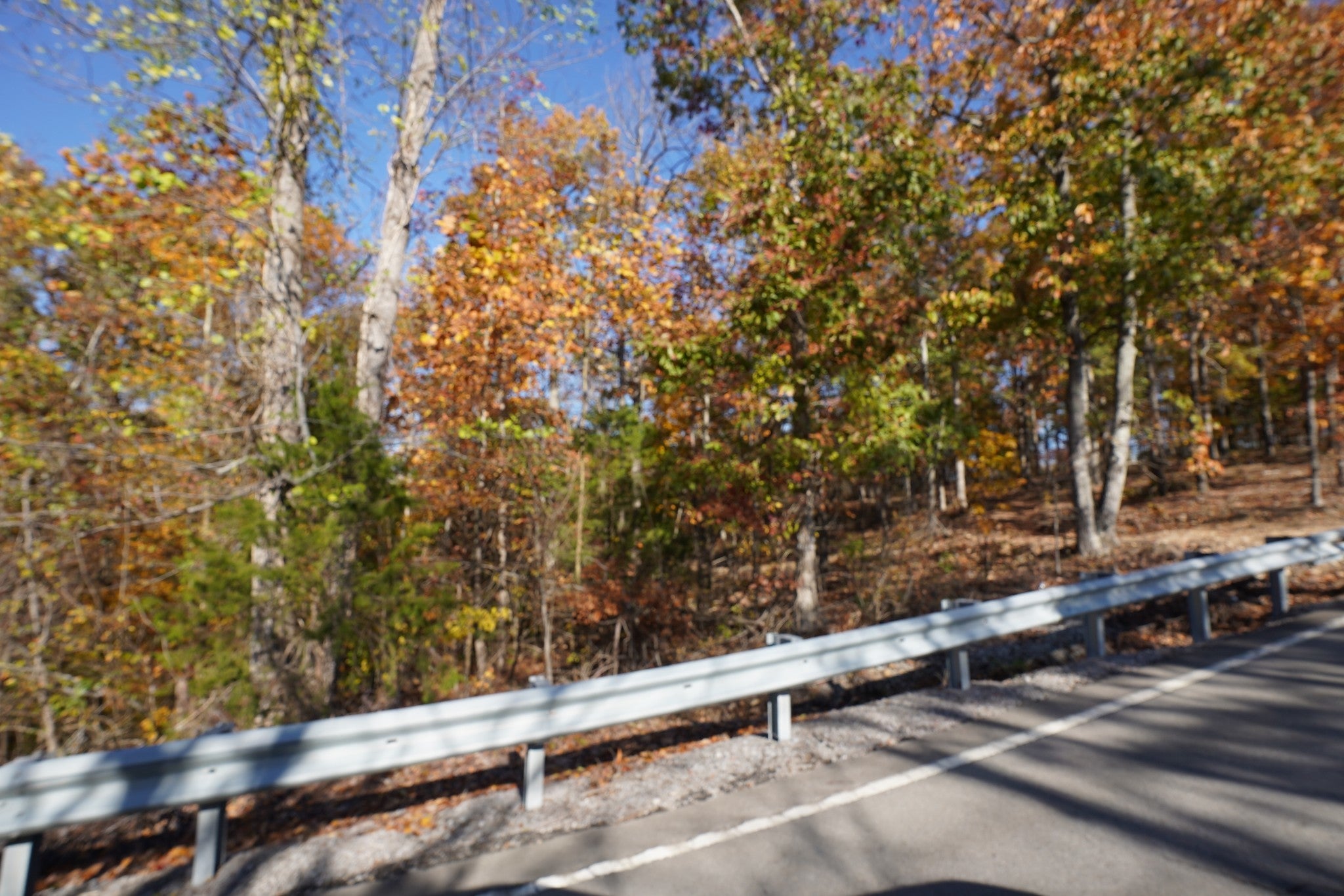 Photo of Listing #2993535