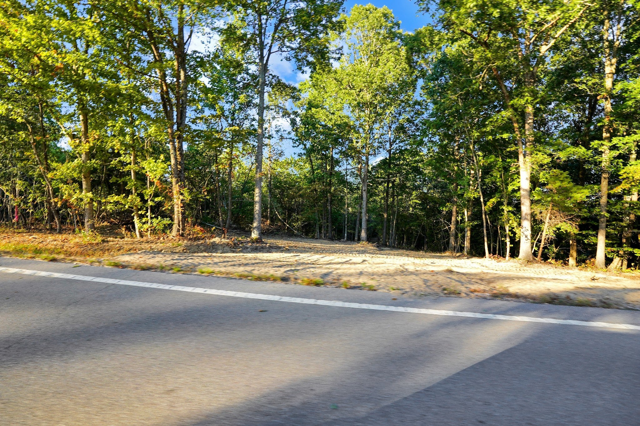 Photo of Listing #2993553