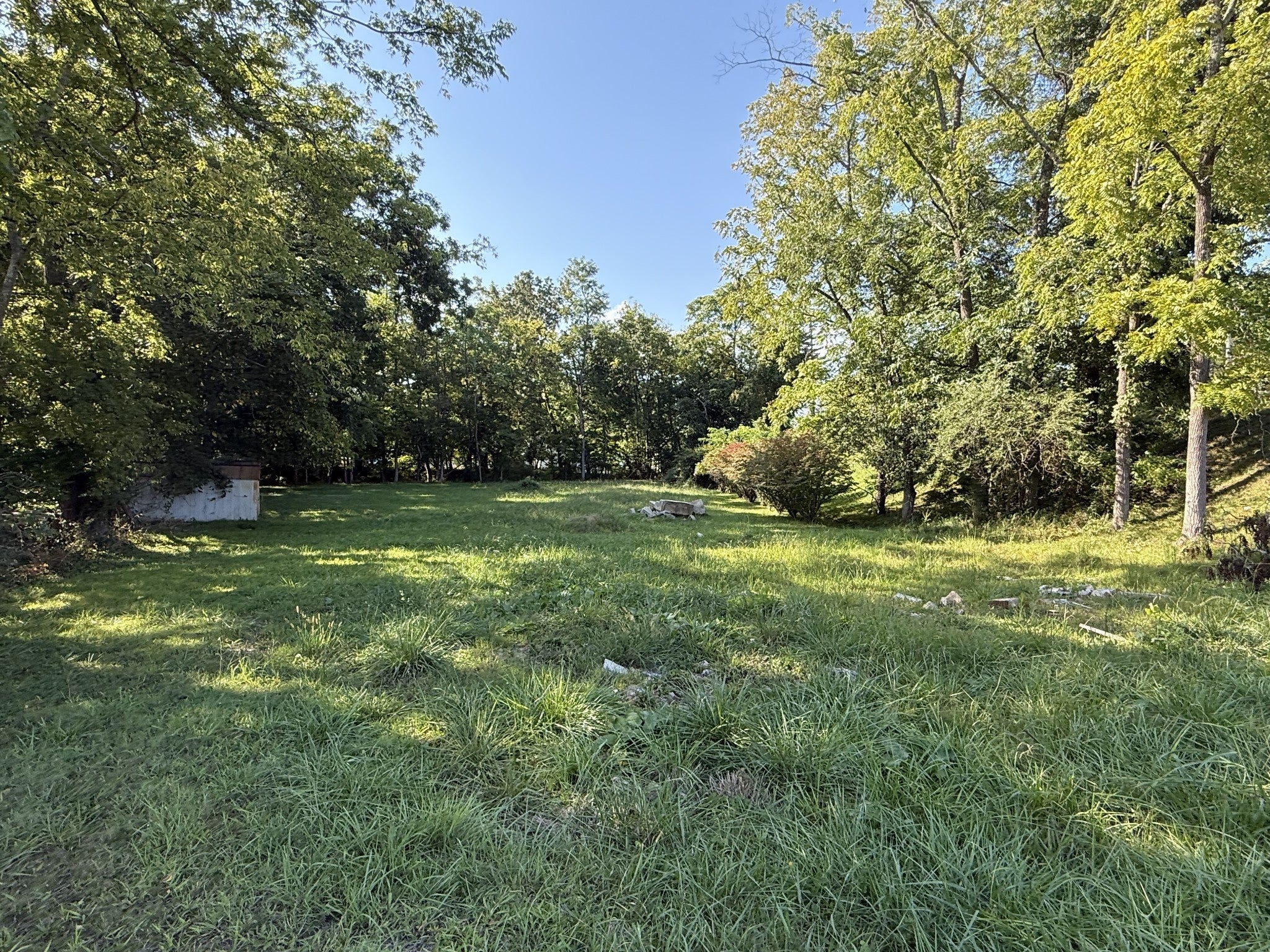 Photo of Listing #2993816