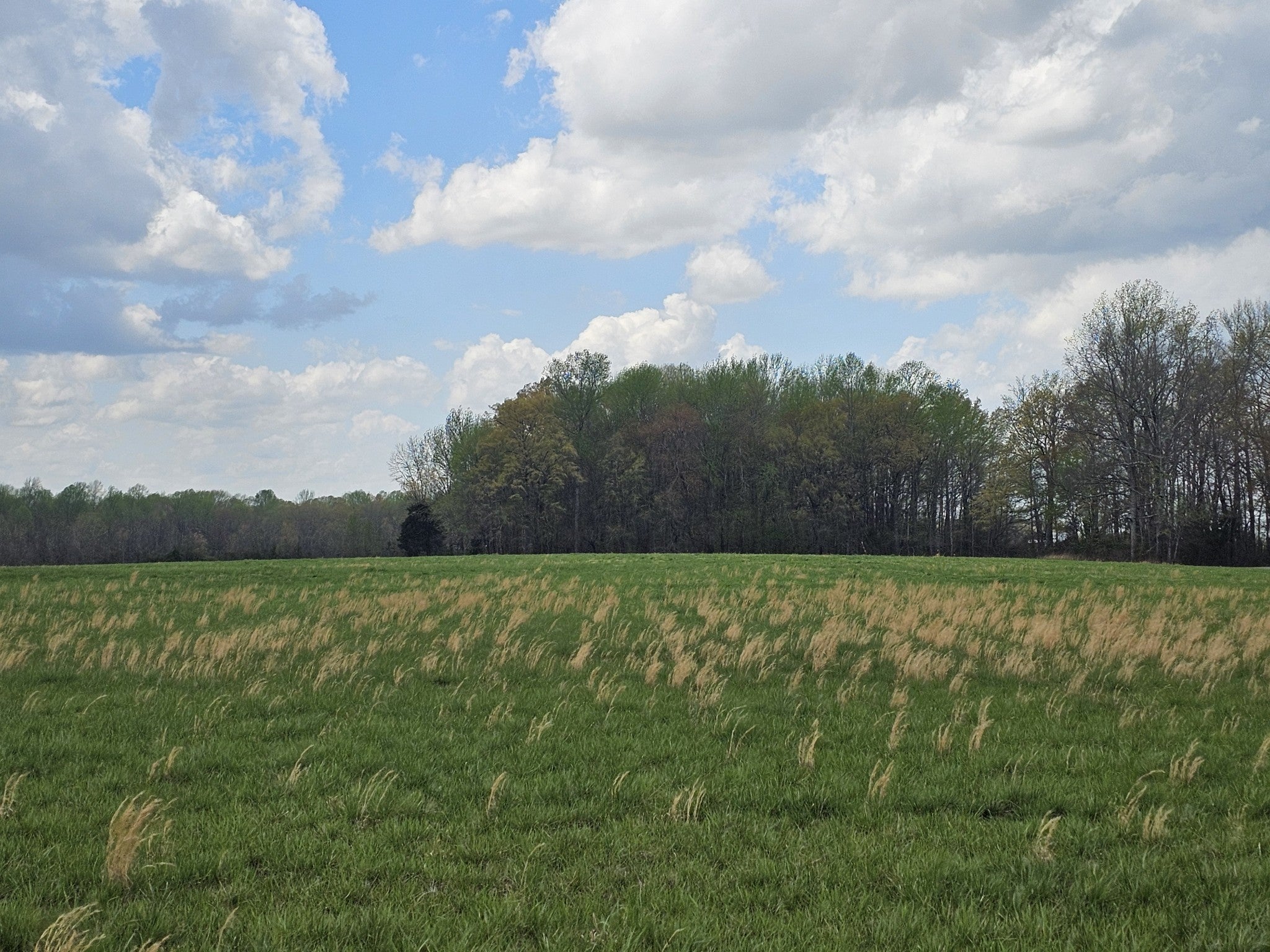 Photo of Listing #2993965