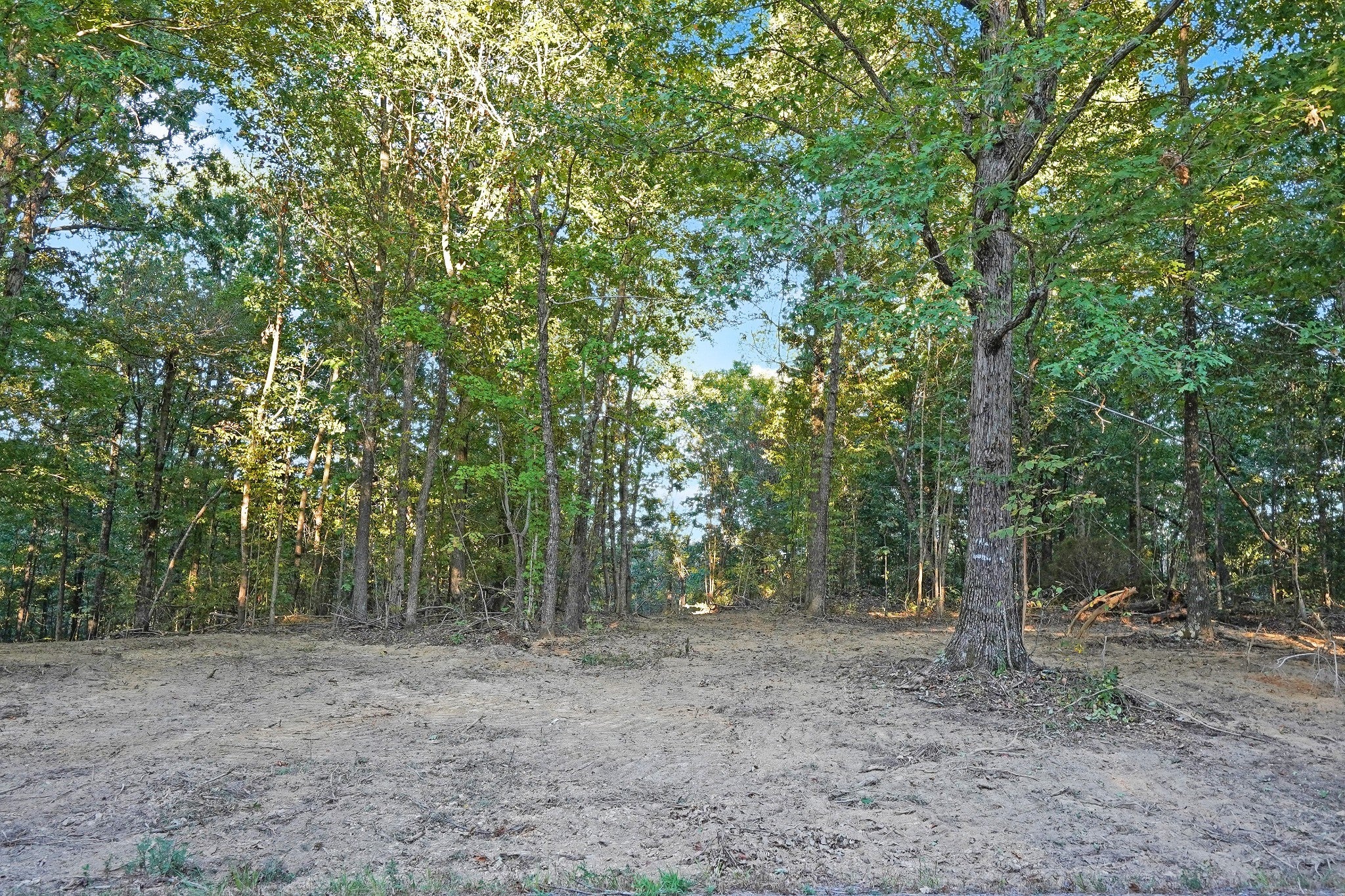 Photo of Listing #2993973