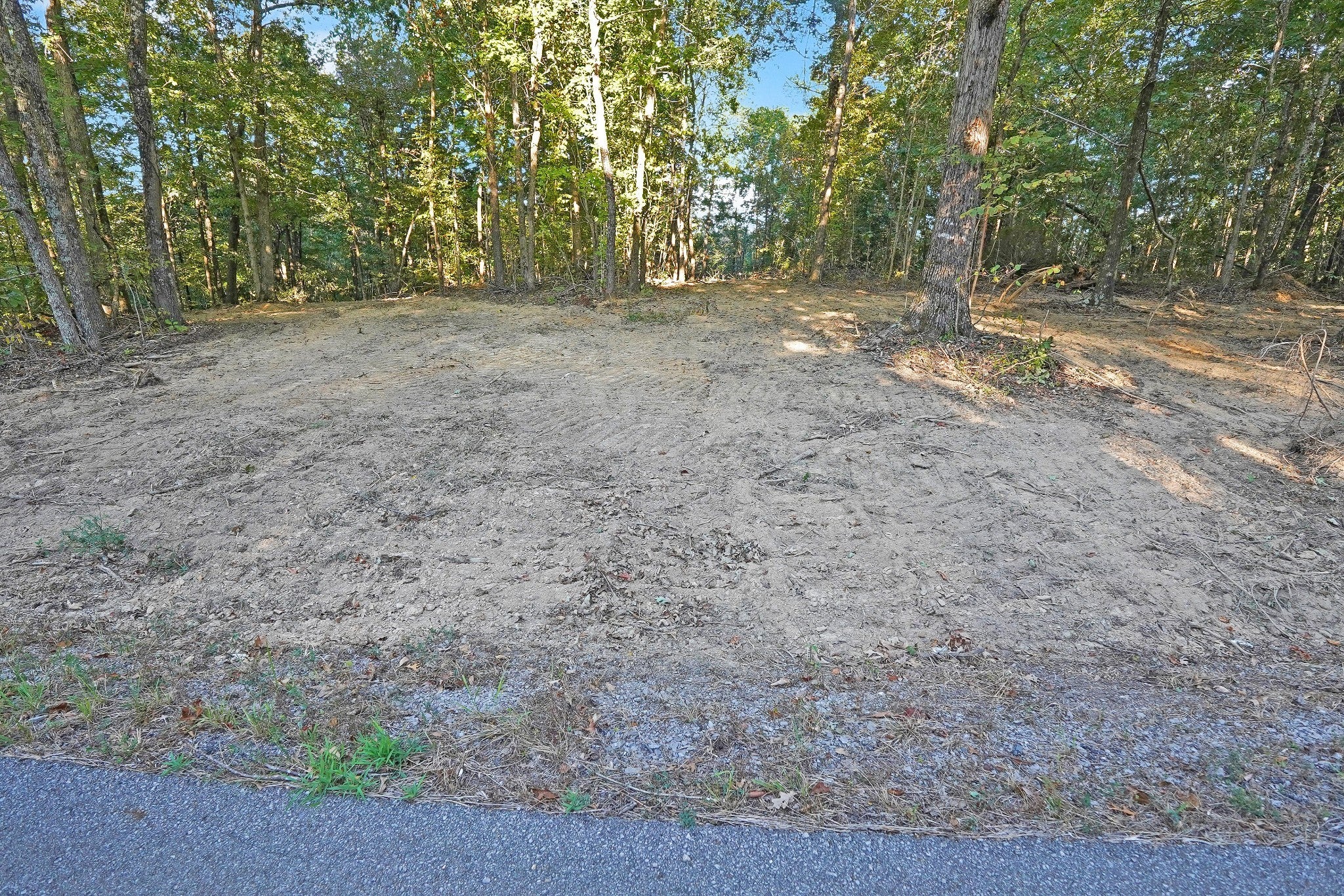 Photo of Listing #2993973