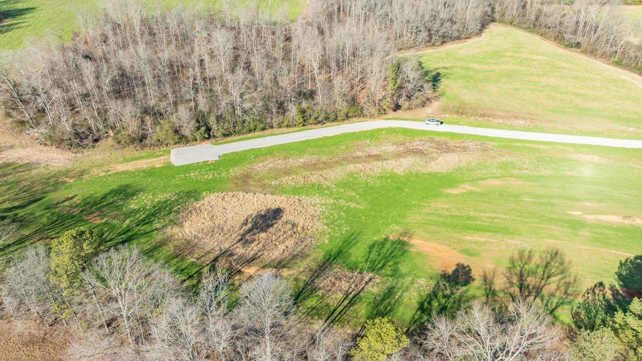 Photo of Listing #2994043