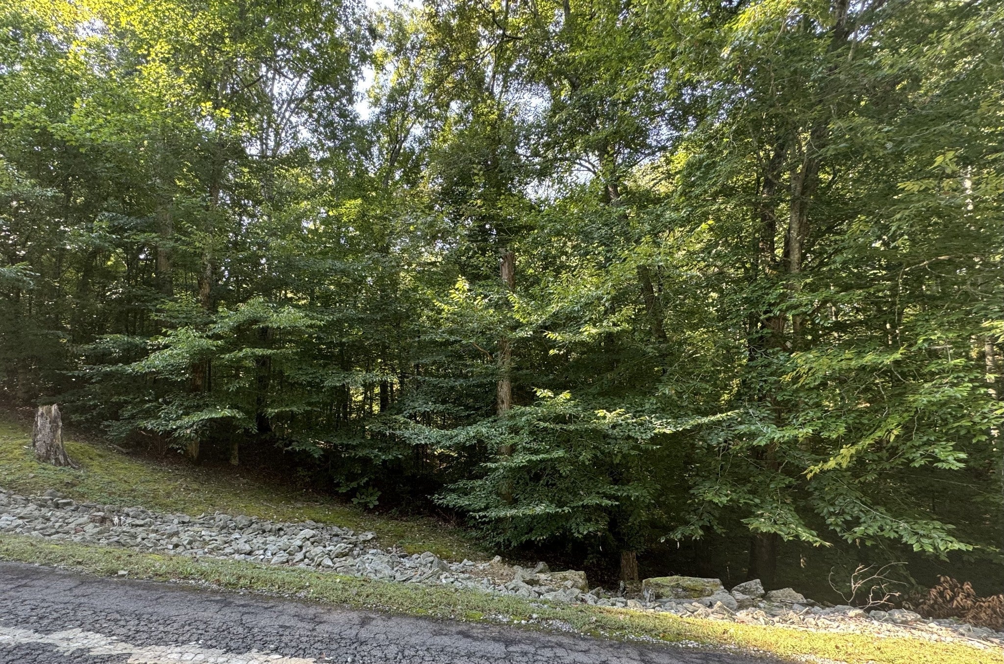 Photo of Listing #2994052