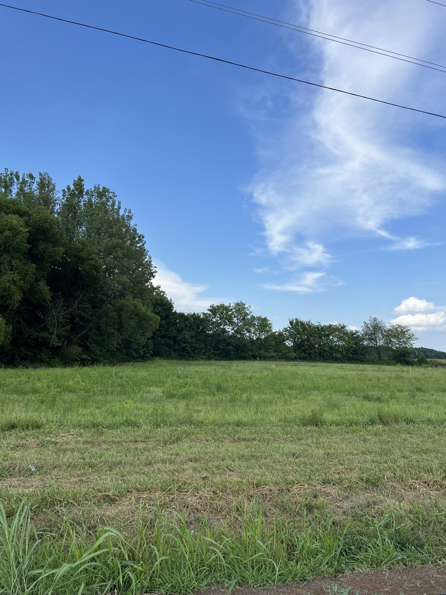 Photo of Listing #2994096