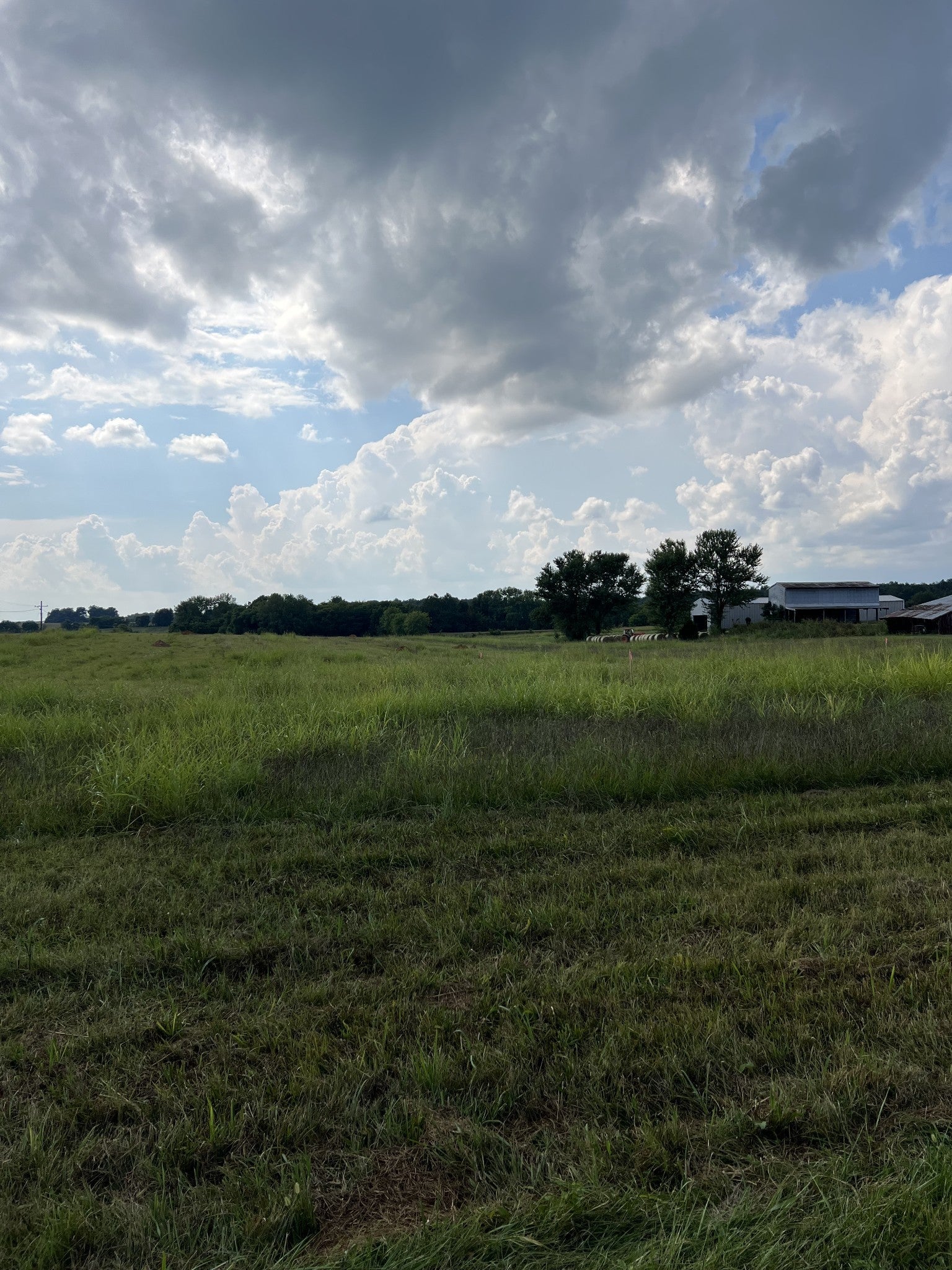 Photo of Listing #2994107